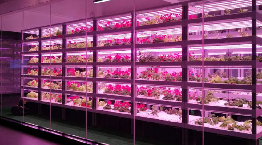 Production facility